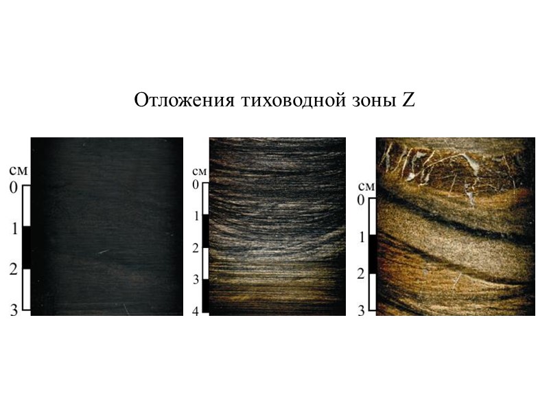 Отложения тиховодной зоны Z